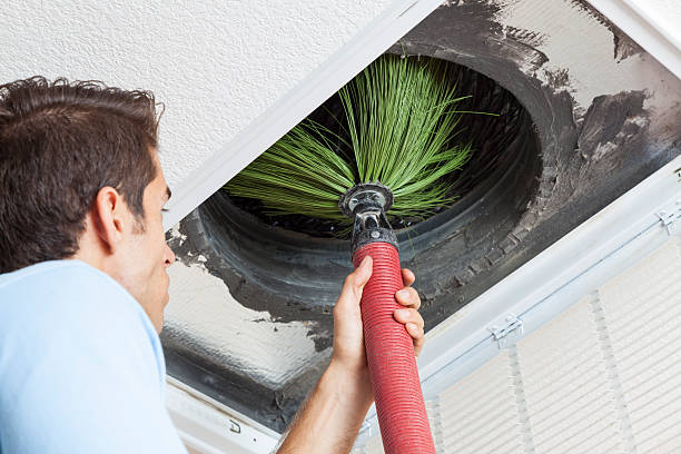Best Air Vent Cleaning Services  in Princess Anne, MD