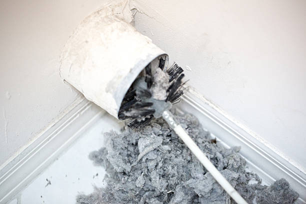 Best Ductwork Cleaning Services  in Princess Anne, MD